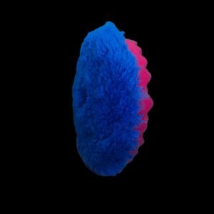 CSI Flippable buffing pad